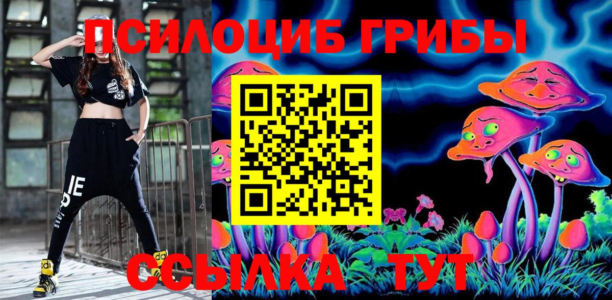 Псилоцибиновые грибы MAGIC MUSHROOMS Видное