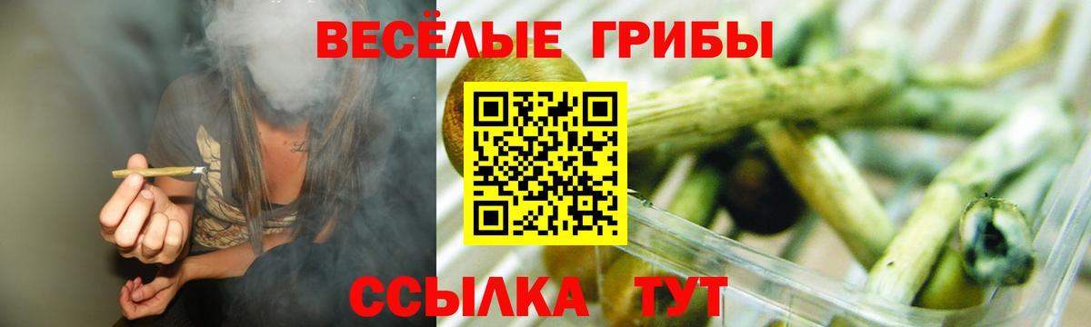 Псилоцибиновые грибы GOLDEN TEACHER  Вход с VPN  Видное  Псилоцибиновые грибы Psilocybe 